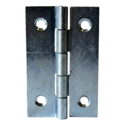 QCL 25 charnières acier zingué Diall 25 x 18 mm