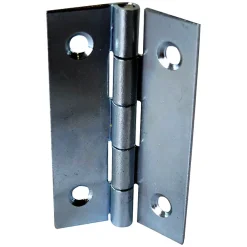 QCL 2 charnières acier zingué Diall 35 x 22 mm