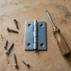 QCL 12 charnières acier zingué Diall 50 x 30 mm