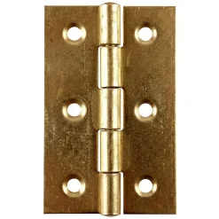 QCL 2 charnières laiton Diall 30 x 19 mm