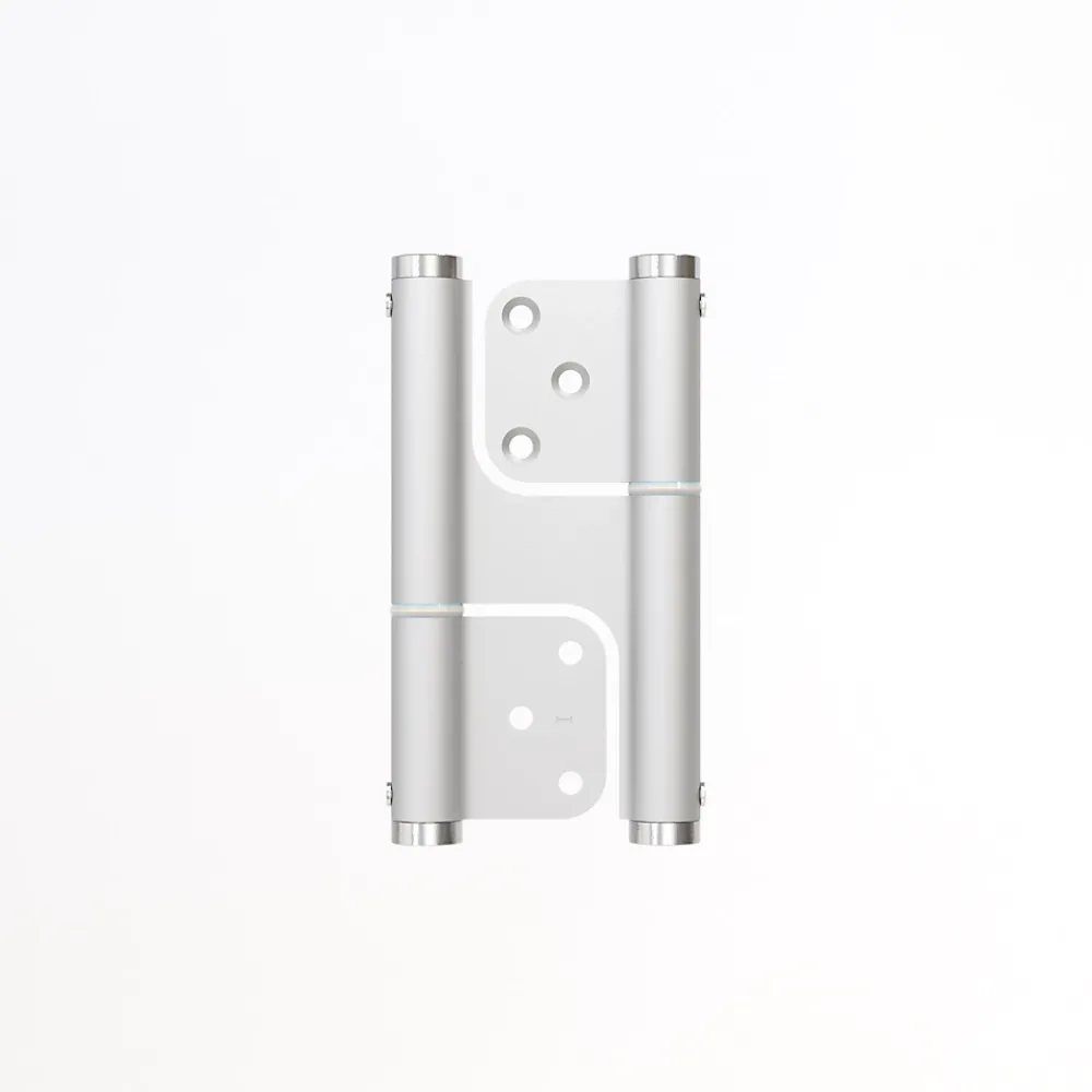 Hardwarexchange Ferme-Porte-Charnière va et vient à ressort, 120X35 mm, mouvement 180 degrés, en aluminum anodisée argent, posée totalement en applique,