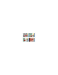 Fischer Cheville Universelle-CHEVILLE DUOPOWER - CHEVILLE DUOPOWER 14X70-20/BTE