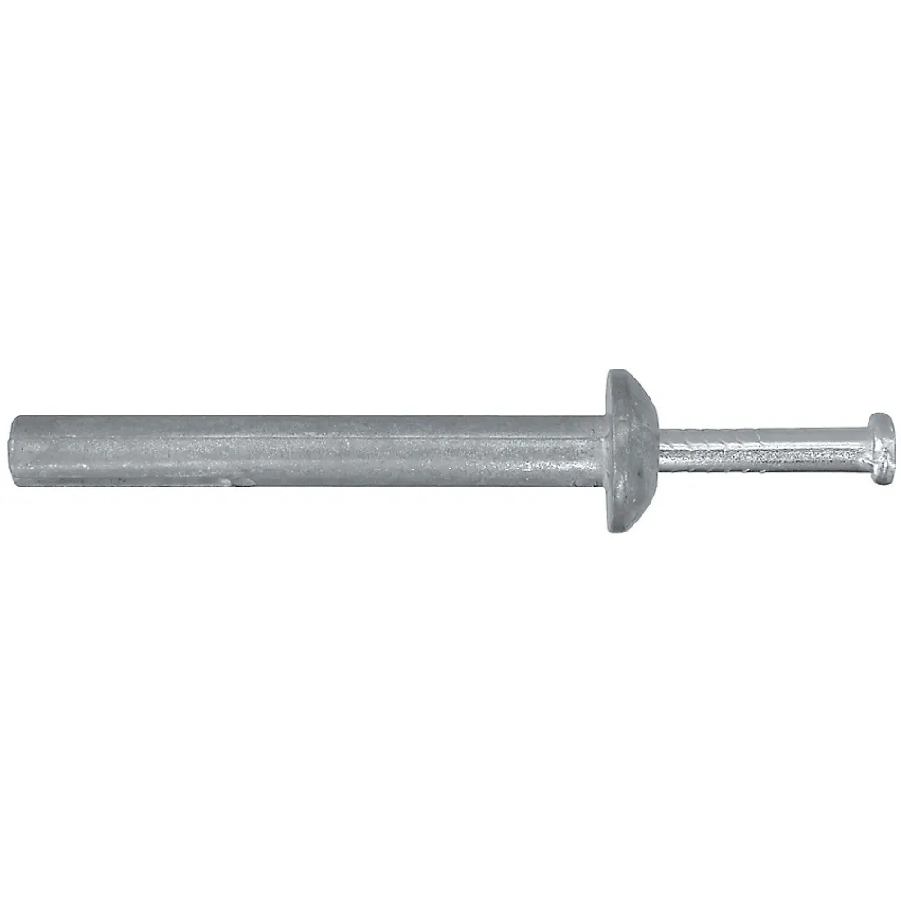 Diall 6 chevilles à frapper métal PZ Ø6x65mm