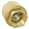 Somatherm for you Joint Clapet|Joint Et Clapet-Clapet antiretour toutes positions universel F26x34