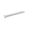 Diall Clous de maçon en acier galvanisé 3,4x40 - 125g