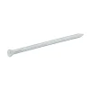 Diall Clous de maçon en acier galvanisé 4,6x100 - 125g
