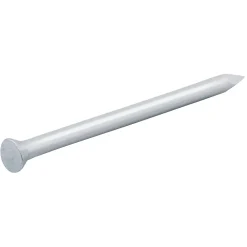 Diall Clous de maçon en acier galvanisé 3,4x50 - 1kg