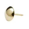 Diall Clous tapissiers en acier plaqués en laiton 12 mm x 50