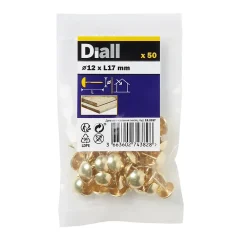 Diall Clous tapissiers en acier plaqués en laiton 12 mm x 50