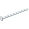 Diall Clou À Tête Ronde-Clous à tête bombée en acier zingués 1,5x25 - 125g