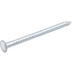 Diall Clou À Tête Ronde-Clous à tête bombée en acier zingués 1,5x25 - 125g