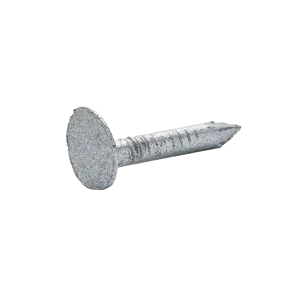 Diall Clou À Tête Plate-Clous à tête plate en acier galvanisé 3x30 - 125g