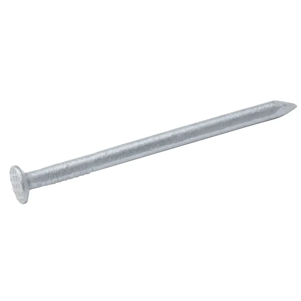 Diall Clou À Tête Plate-Clous à tête plate en acier galvanisé 3x40 - 125g