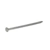 Diall Clous à tête plate en acier galvanisé 5,5x140 - 125g