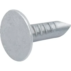 Diall Clou À Tête Plate-Clous à tête plate en acier galvanisé 2,7x50 - 1kg