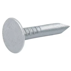 Diall Clous à tête plate en acier galvanisé 3x20 - 1kg