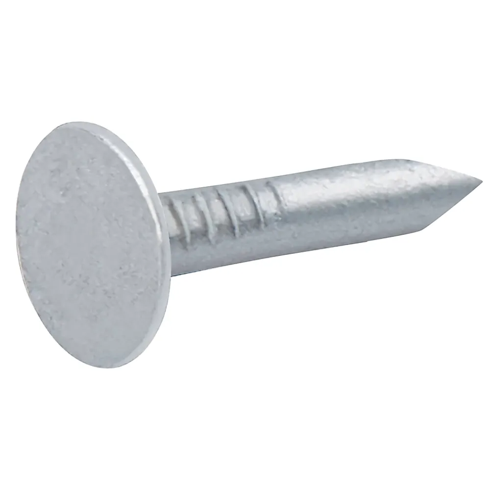 Diall Clous à tête plate en acier galvanisé 3x20 - 1kg