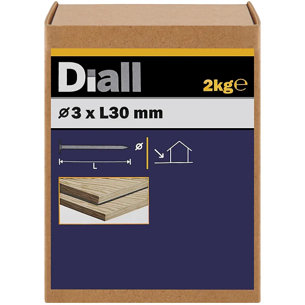 Diall Clou À Tête Plate-Clous à tête plate en acier galvanisé 3x20 - 2kg