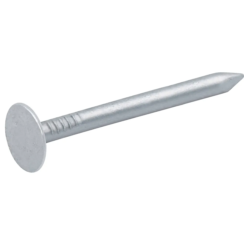 Diall Clou À Tête Plate-Clous à tête plate en acier galvanisé 3x40 - 1kg