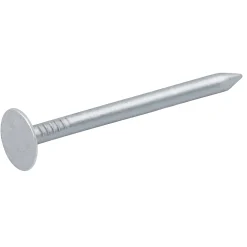 Diall Clous à tête plate en acier galvanisé 3x40 - 2kg