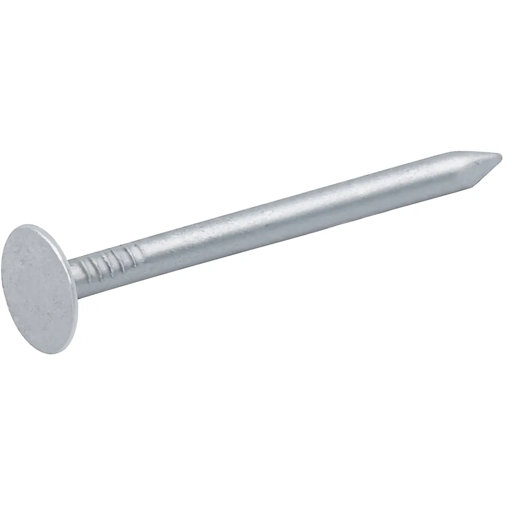 Diall Clous à tête plate en acier galvanisé 3x40 - 2kg