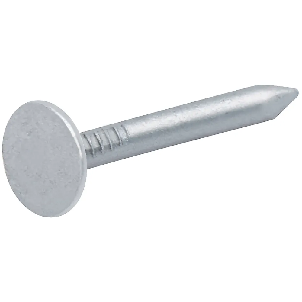 Diall Clous à tête plate en acier galvanisé 3x30 - 1kg