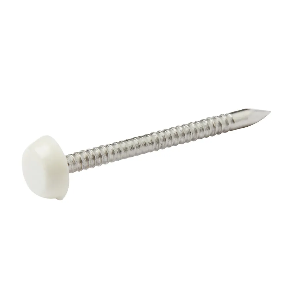 Diall Clou À Tête Ronde-Clous UPVC en acier inoxydable A4 2x30 - 125g