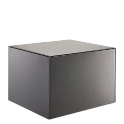 Burg-Wachter Coffre-Fort-Coffre-fort Combi-line CL 420 E