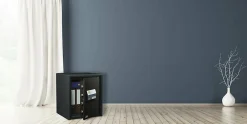 Burg-Wachter Coffre-fort Combi-line CL 440 E