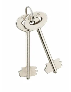 Thirard Coffret de sécurité à poser Sedan, fermeture par clé, 2 pênes, 15L -