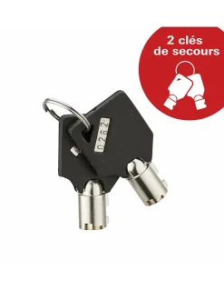 Thirard Coffre-Fort-Coffret de sécurité pour laptotp Vincennes, fermeture électronique à code, 2 pênes, 13.7L -