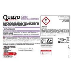 Quelyd Colle pour Dalles de plafond Pâte 1 kg