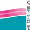 Quelyd Colle Papier Peint-Colle toile de verre pâte avec indicateur coloré 10kg