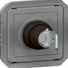 Legrand Commande à clé - Plexo -