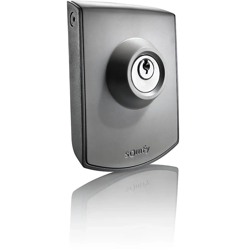 Somfy Commutateur à clé 2400597 IP54 pour motorisation de portail et garage