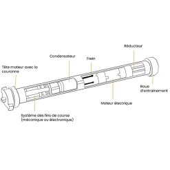 Ducati Fusible-2 Condensateurs, 3,5 uF, à Connecteurs, pour Moteur Volet Roulant Bubendorff
