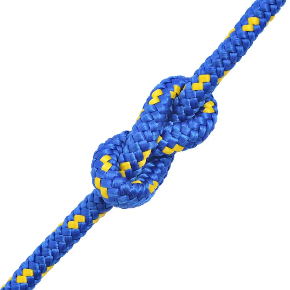 Vidaxl Corde de bateau Polypropylène 10 mm 250 m Bleu