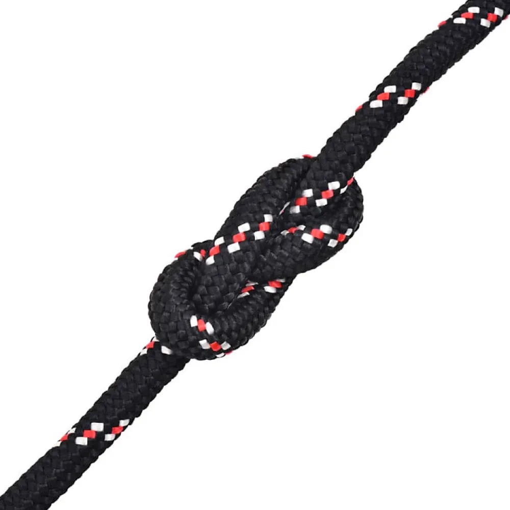 Vidaxl Corde de bateau Polypropylène 18 mm 50 m Noir