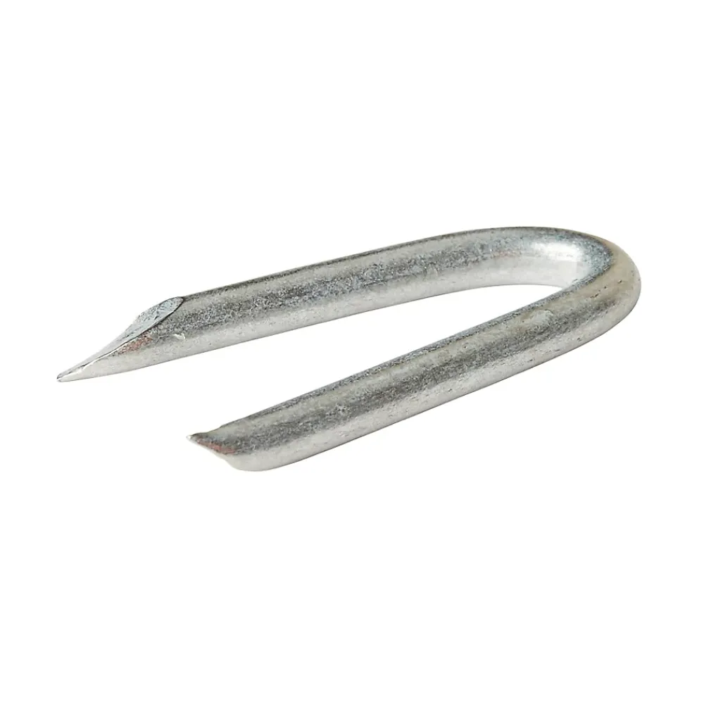 Diall Crampillon-Crampillons en acier galvanisé 2,4x20 - 125g