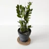 Creative Deco 35m Corde de Jute Epaisseur 24mm - Personnalisation Possible Tous les 5m - Durable - Torsadé en Fibres Naturelles