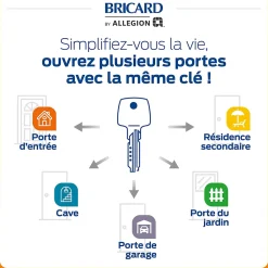 Bricard Cylindre De Serrure-Cylindre débrayable 30+30/30+30/30+40 avec 6 clés