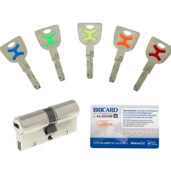 Bricard Cylindre De Serrure-Cylindre débrayable Mistral 2 entrées 35x35 mm