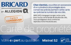 Bricard Cylindre De Serrure-Cylindre débrayable mistral à 2 entrées 30x40 mm avec clés