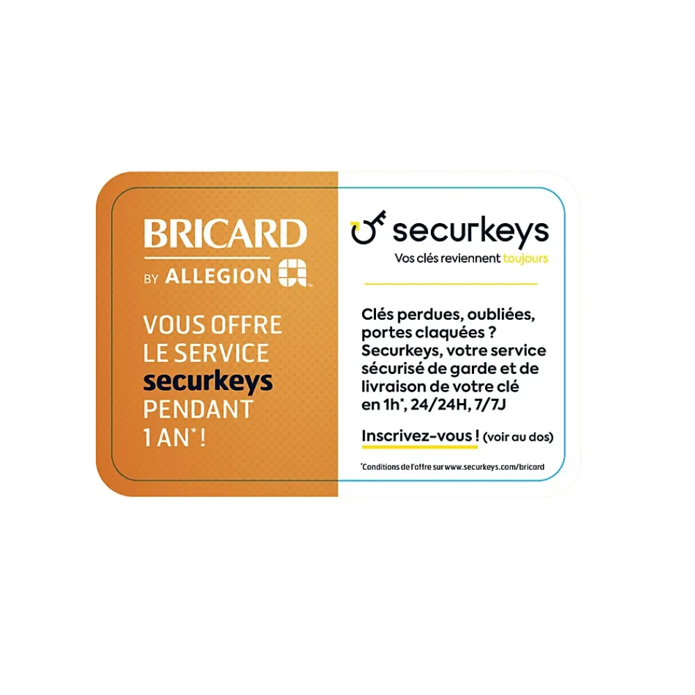 Bricard Cylindre De Serrure-Cylindre débrayable mistral à 2 entrées 30x40 mm avec clés