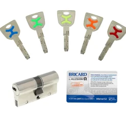 Bricard Cylindre De Serrure-Cylindre débrayable mistral 2 entrées 30x30 mm