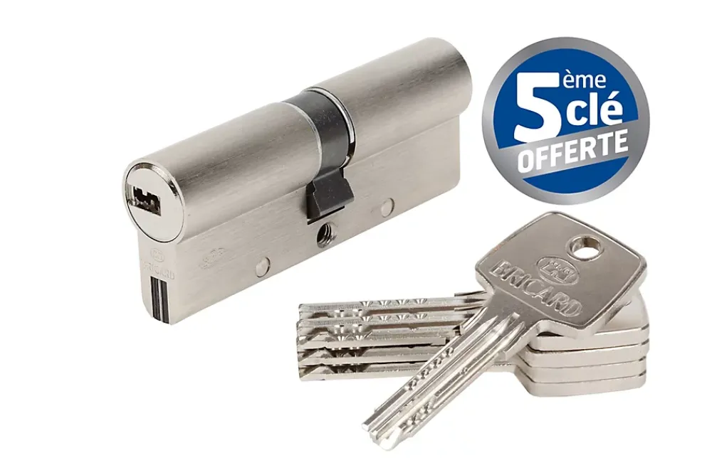 Bricard Cylindre De Serrure-Cylindre débrayable Trial S 40x40