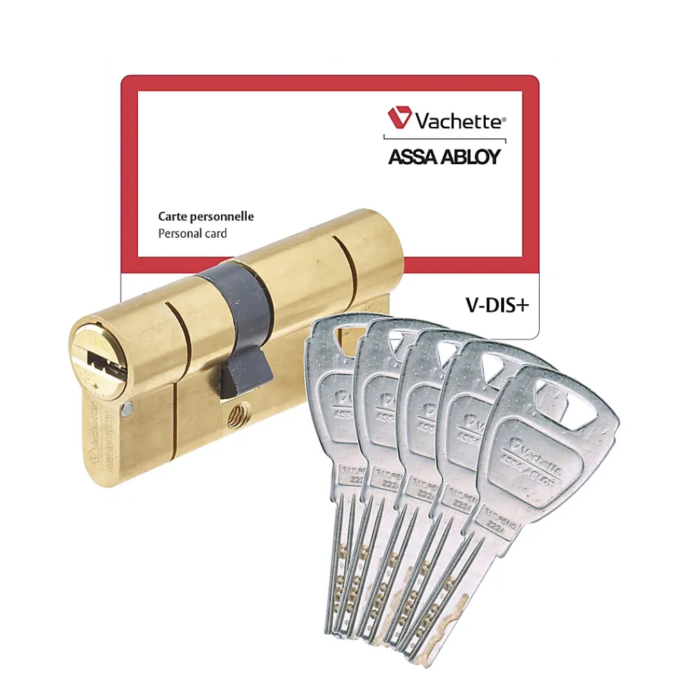 Vachette Cylindre de haute sécurité 30 x 40 mm + 5 clés