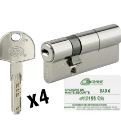 Autres Cylindre de porte 30 x 60 mm debrayable avec 4 clés et carte de reproduction Barillet double entrée