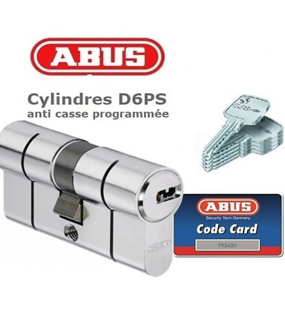 Autres Cylindre de sécurité pour porte barillet 30 x 50 mm D6PS ABUS 5 clés