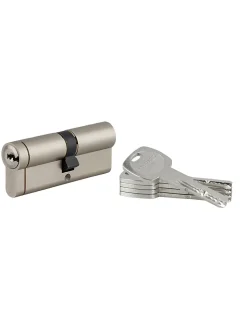 Thirard Cylindre de serrure débrayable Transit 1, 40x45mm, 5 clés, nickelé -